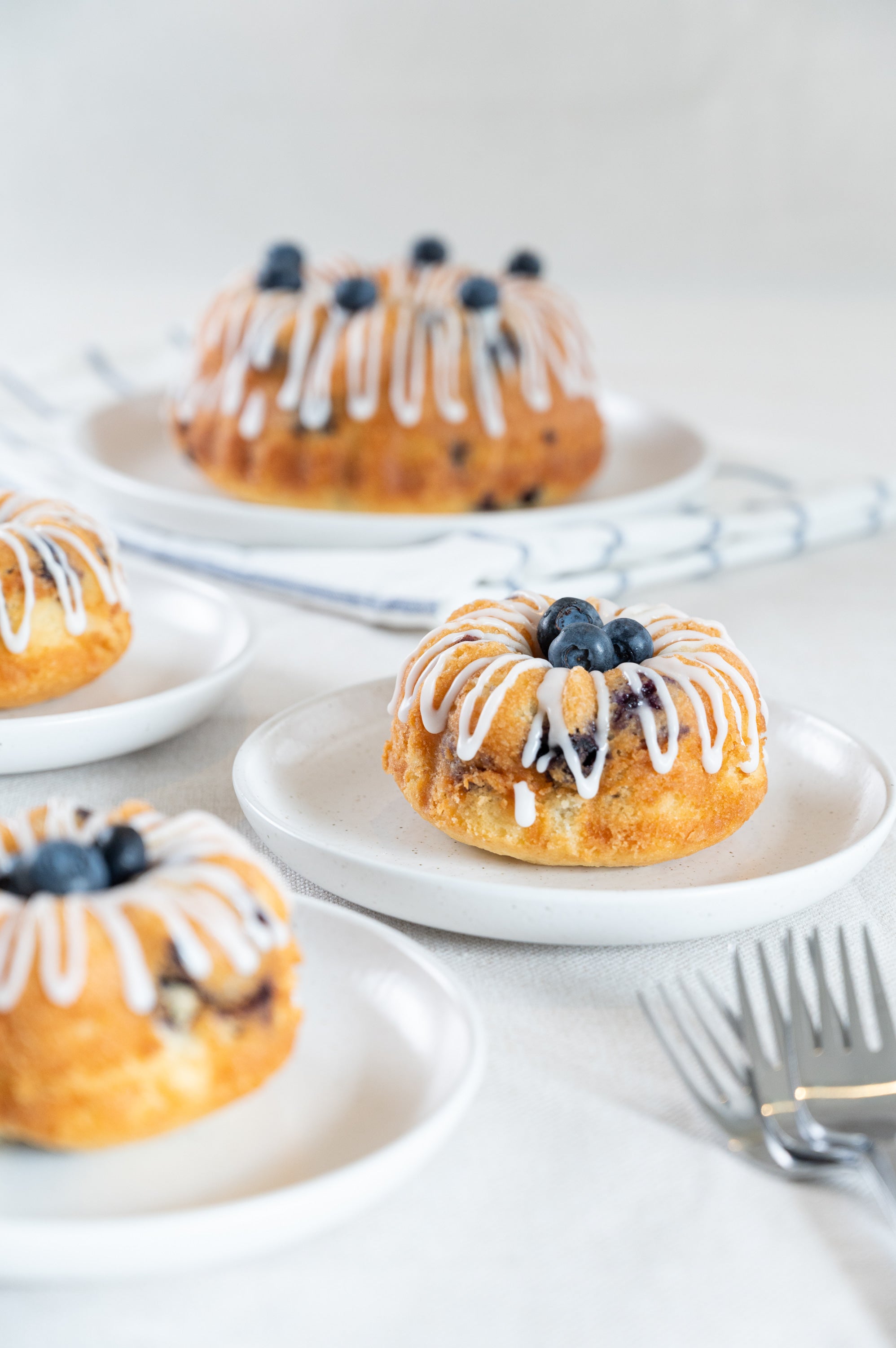 Blueberry Bundt Cakes.