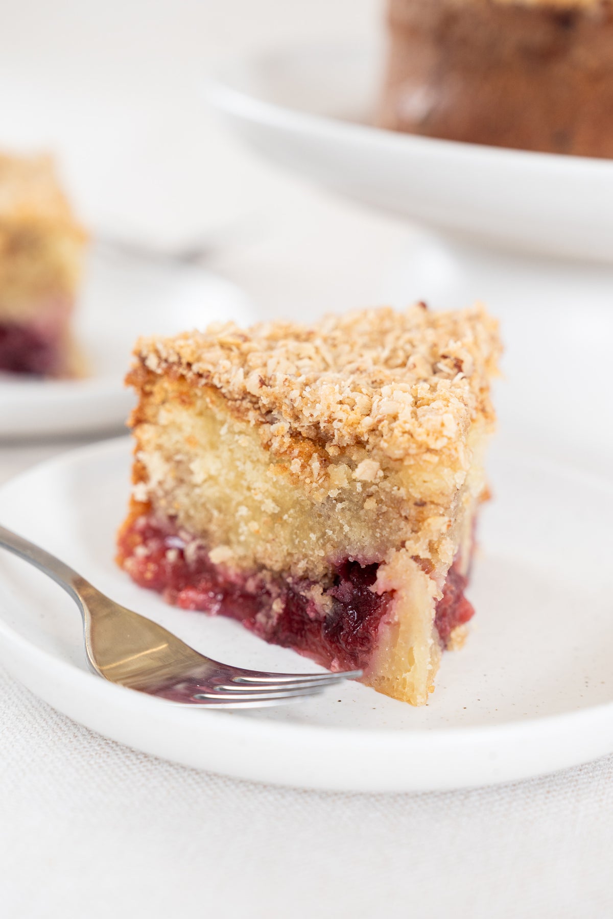 Plum Pecan Streusel Coffee Cake.