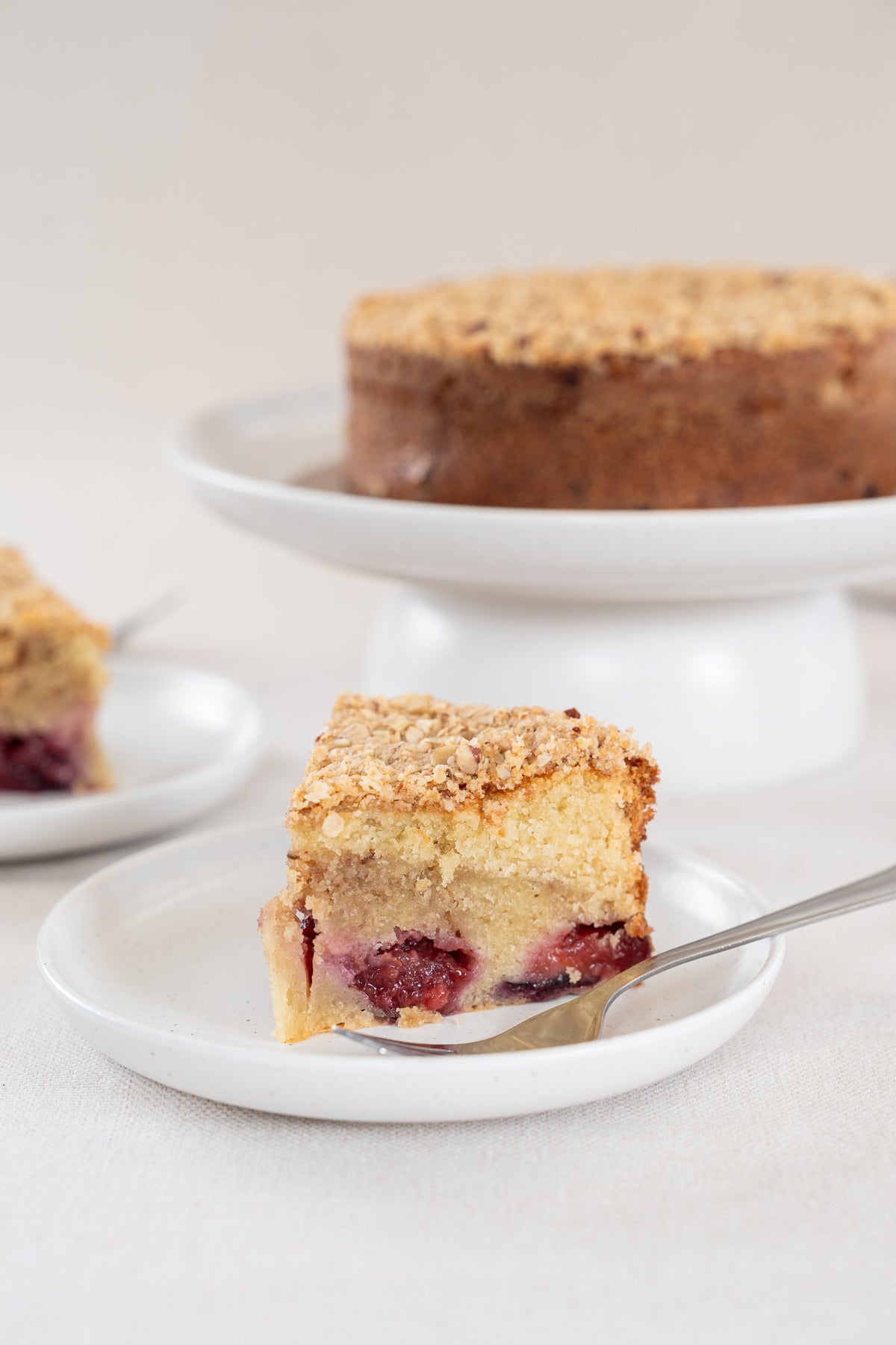 Plum Pecan Streusel Coffee Cake.