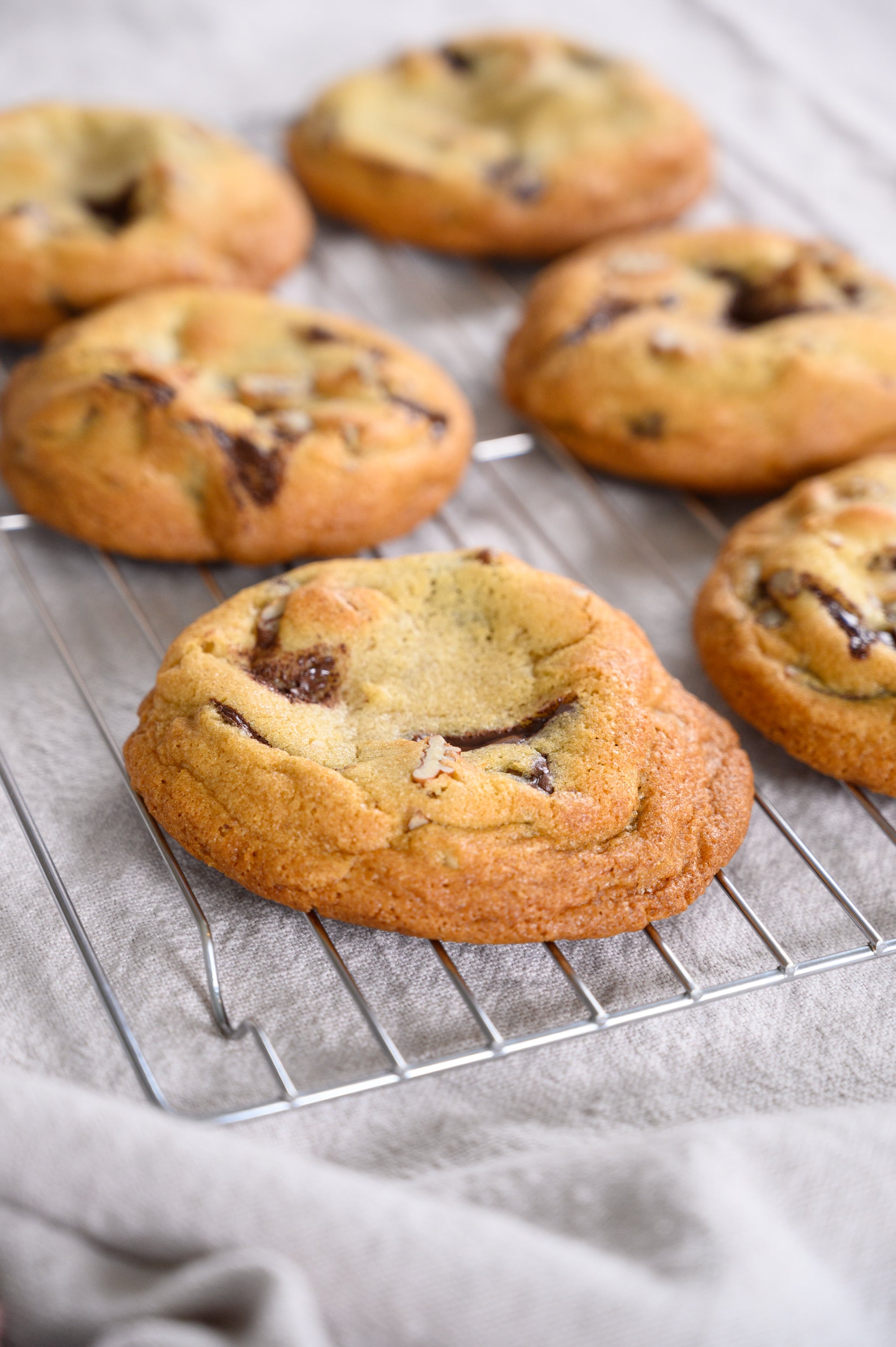 Chocolate Pecan Cookies.