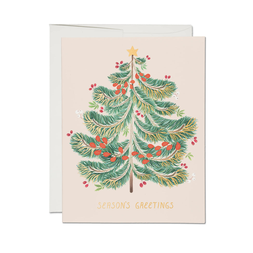 Red Cap Cards: Festive Evergreen Holiday Greeting Card.