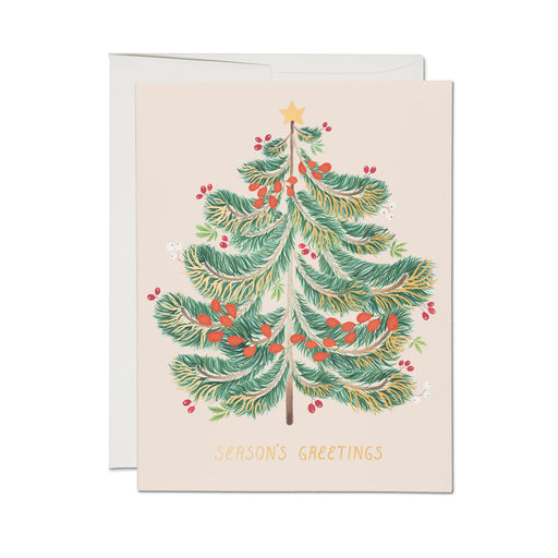 Red Cap Cards: Festive Evergreen Holiday Greeting Card.