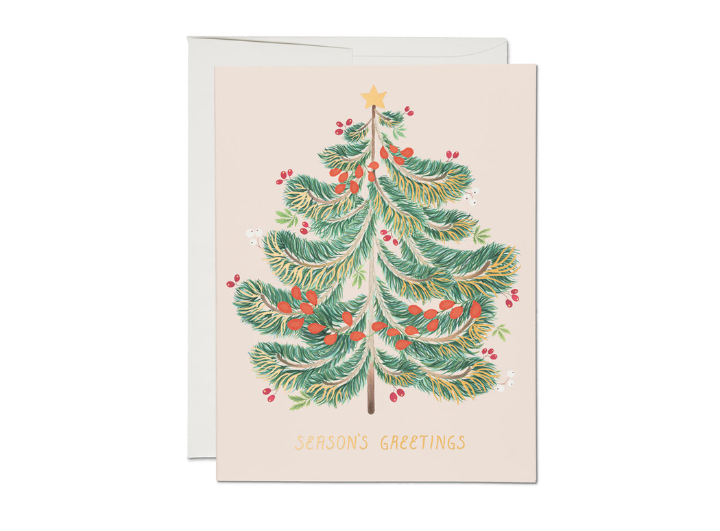 Red Cap Cards: Festive Evergreen Holiday Greeting Card.