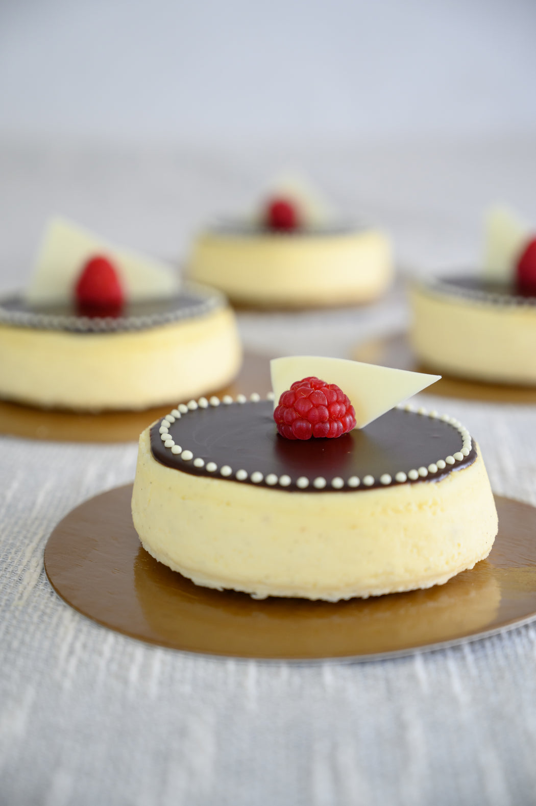 Vanilla Cheesecake with dark chocolate ganache glaze.