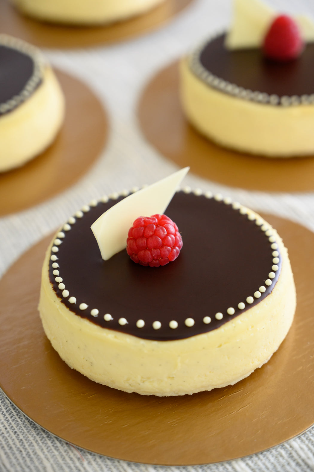 Vanilla Cheesecake with dark chocolate ganache glaze.
